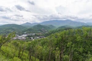 Top 3 Reasons to Take a Ride on the Gatlinburg Bypass to Townsend